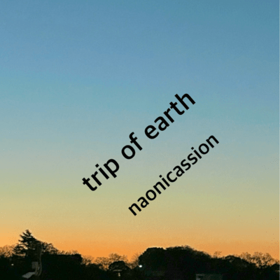 trip of earthのジャケット写真