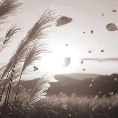 Armonife Fingerstyle Vol.2 - Memories in the Wind Front Cover