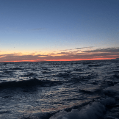 ADHD Freestyle Front Cover