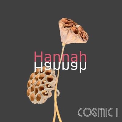 Hannah Front Cover