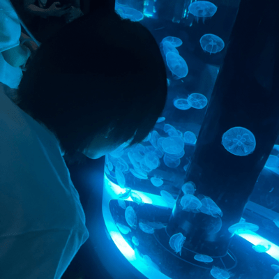 Before I became a demon Front Cover