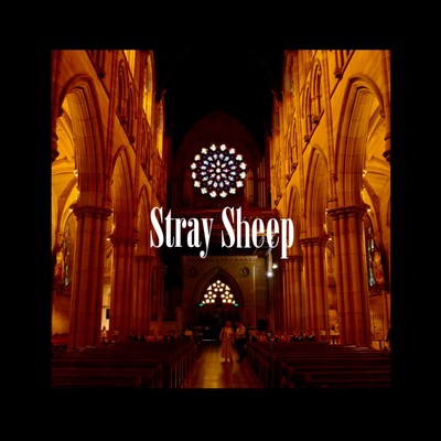 Stray Sheep Front Cover