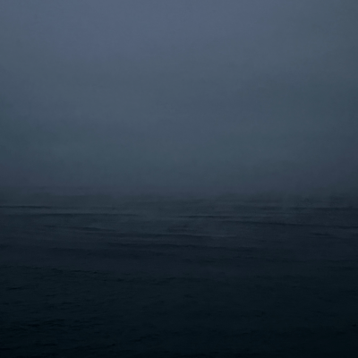 too late Front Cover