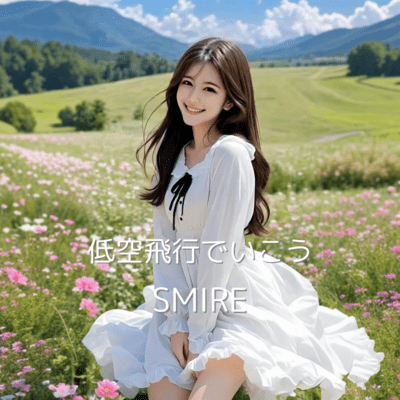 Let's Fly Low and Free Front Cover