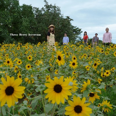 Three Berry Icecream Front Cover