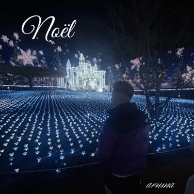 Noëlのジャケット写真