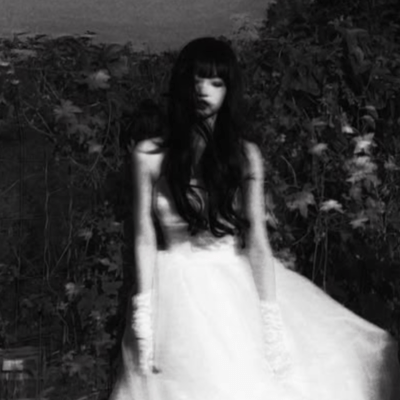 undying love Front Cover