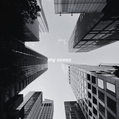 my sense Front Cover
