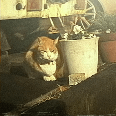 (I Just Got a) Kachi Front Cover