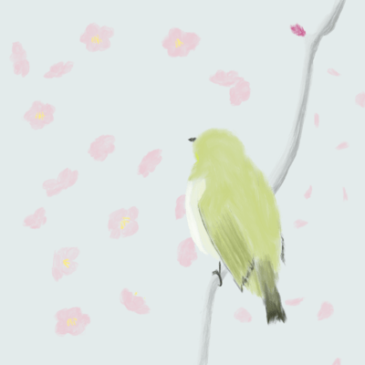 何度目かの梅の花のジャケット写真