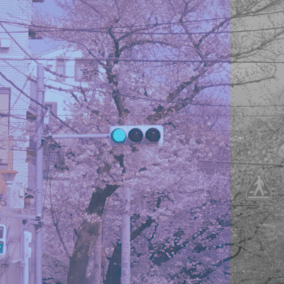 移ろわないのジャケット写真