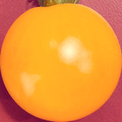 faux fruit Front Cover