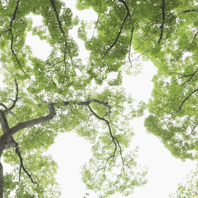 タイムマシンのジャケット写真