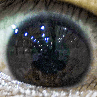 醜悪のジャケット写真