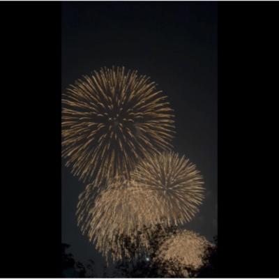 firework Front Cover