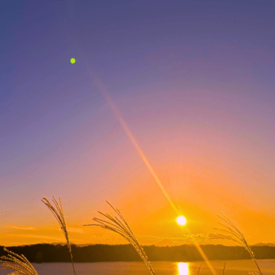 SONG FOR YOU Front Cover