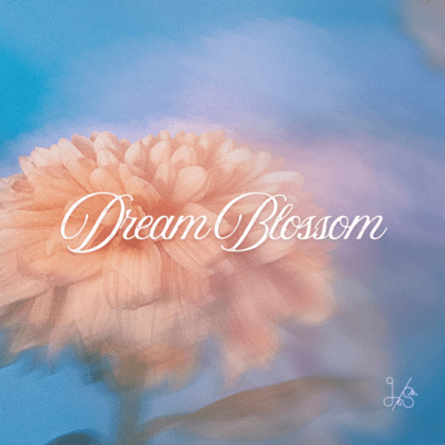 Dream Blossom Front Cover