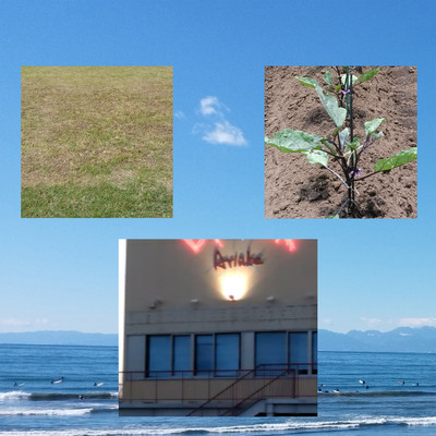 Work on mowing and growing vegetables, wear Rhodonight and Aquamarine and discothe live house Front Cover