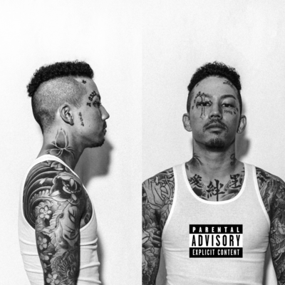 The Next Episode Front Cover