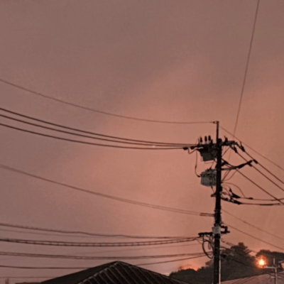 今日も虚妄のジャケット写真