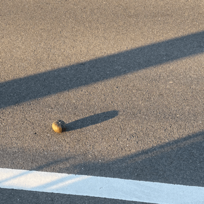 逆KOHHのジャケット写真