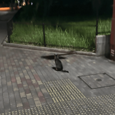 Kokura running for 20 minutes in morning Front Cover