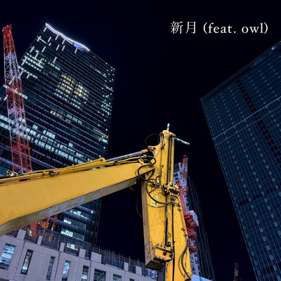 新月 (feat. owl)のジャケット写真