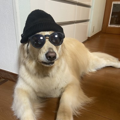 Pumped up (feat. DJ 口)のジャケット写真