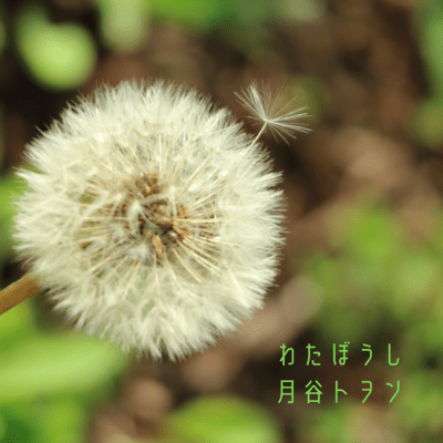 Dandelion Cotton Hat Front Cover