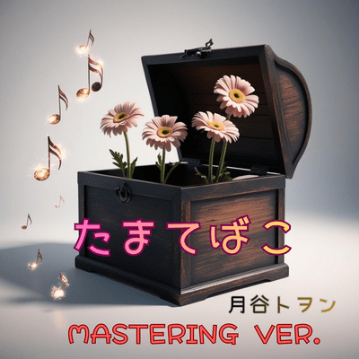 TRESURE BOX OF MEMORIES (MASTERING Ver.) Front Cover