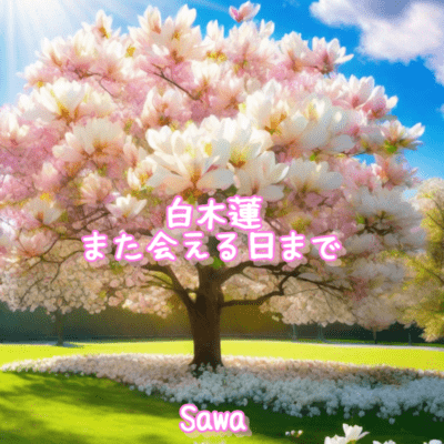 Yulan magnolia Front Cover