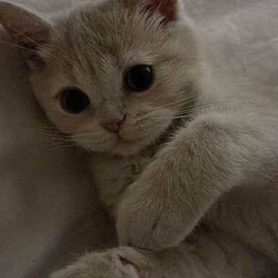 wasurenbou (feat. Nasein) Front Cover