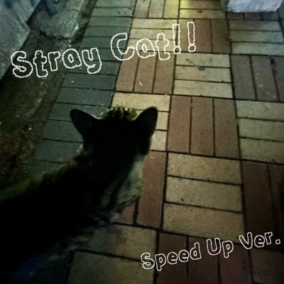 Stray Cat!! (Speed Up Ver.) Front Cover