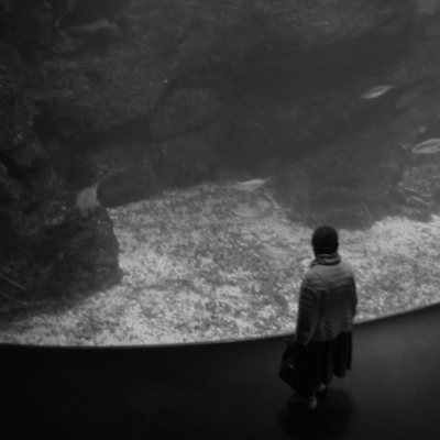 coelacanth Front Cover