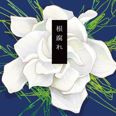 Negusare Front Cover