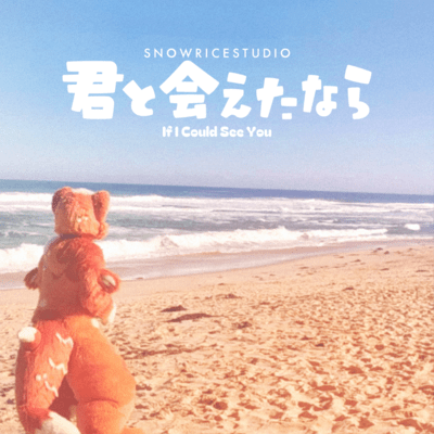 If I Could See You Front Cover