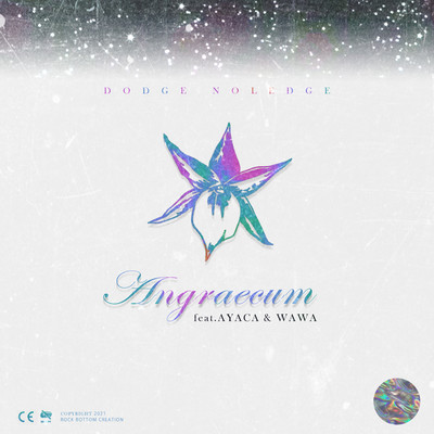 ANGRAECUM (feat. AYACA & WAWA) Front Cover