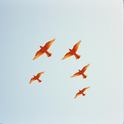 You don't have to think too much. Let's jump out of the cage of words Front Cover