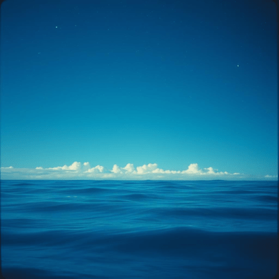 弱くていい そのままでいいのジャケット写真