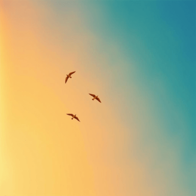 There's no need to rush, it's okay to be confused, because the world is wide and free Front Cover