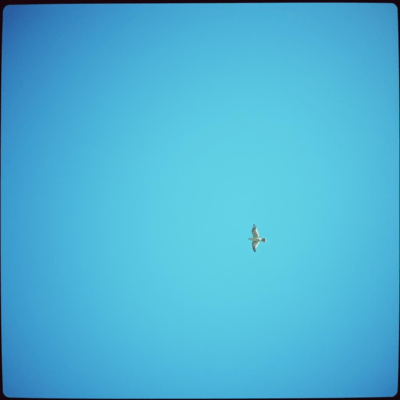 もう頑張らなくてもいいんだよ 自分のペースで歩けばいいのジャケット写真