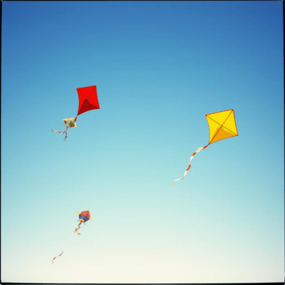 You don't have to try to "fix it" Front Cover