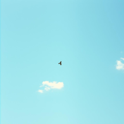 You don't have to be tied down by other people's opinions. "You decide your own life." Front Cover