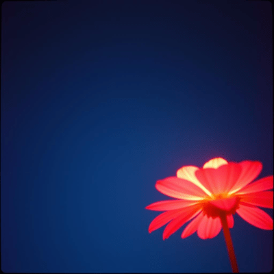 There is a way forward without competing. The right answer for others is not your answer Front Cover