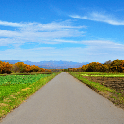 明日への希望のジャケット写真