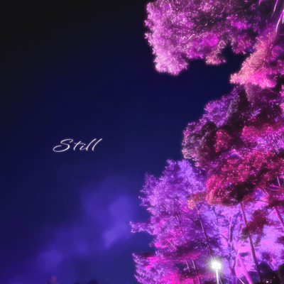 Still Front Cover
