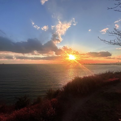 world that never end Front Cover