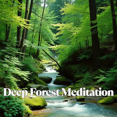 Deep Forest Meditation Front Cover