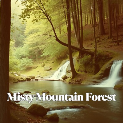 Misty Mountain Forestのジャケット写真