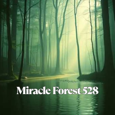 Miracle Forest 528 Front Cover